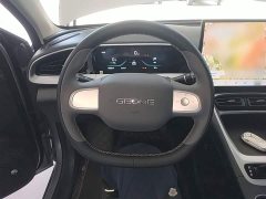 Geely Star Wish 410km Freedom Edition - ფოტო 10