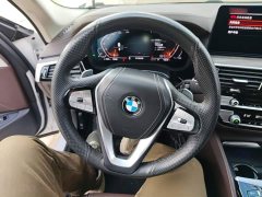 BMW 5 Series 530Li Premier Luxury Package - ფოტო 10