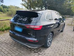 Volkswagen Viloran 380TSI Zunchi Edition - photo 6