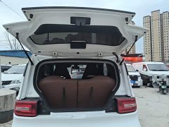 Wuling Hongguang MINIEV Easy Edition LFP Battery - ფოტო 18