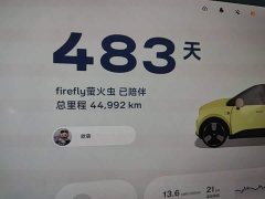 Nio Firefly Luminous Edition - ფოტო 11