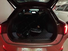 Arcfox Alpha-S 735E Forest Edition 160kW - ფოტო 18