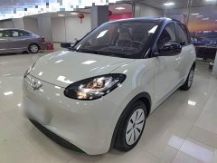Wuling Binguo 203km Light Enjoy Edition - ფოტო 1