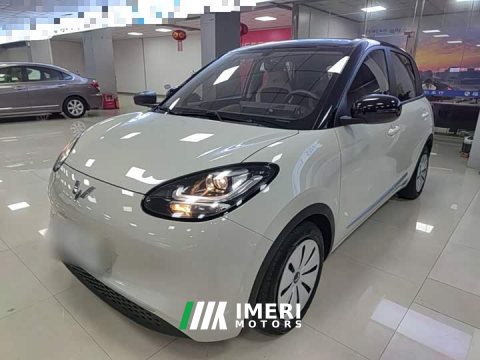 2023 Wuling Binguo 203km Light Enjoy Edition - car from China