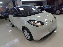 Wuling Binguo 203km Light Enjoy Edition - ფოტო 3