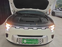 Smart Spirit #5 Ultra-Long Range Qiyou Luxury Edition - ფოტო 19