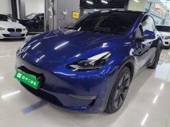 Tesla Model Y Long Range All-Wheel Drive - ფოტო 1