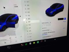 Tesla Model Y Long Range All-Wheel Drive - ფოტო 11