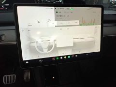 Tesla Model Y Long Range All-Wheel Drive - ფოტო 12
