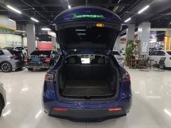 Tesla Model Y Long Range All-Wheel Drive - ფოტო 18