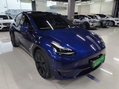 Tesla Model Y Long Range All-Wheel Drive - ფოტო 3
