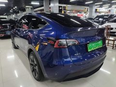Tesla Model Y Long Range All-Wheel Drive - ფოტო 4