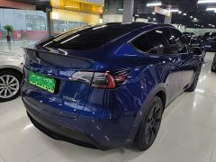 Tesla Model Y Long Range All-Wheel Drive - ფოტო 6