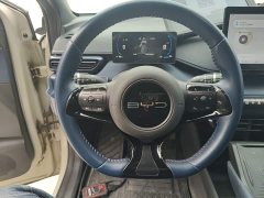 BYD Seagull Glory Edition 305km Freedom Version - ფოტო 10