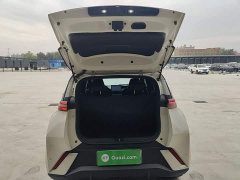 BYD Seagull Glory Edition 305km Freedom Version - ფოტო 18