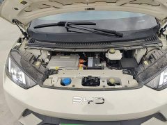 BYD Seagull Glory Edition 305km Freedom Version - ფოტო 19