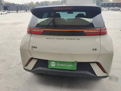 BYD Seagull Glory Edition 305km Freedom Version - ფოტო 5