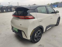BYD Seagull Glory Edition 305km Freedom Version - ფოტო 6