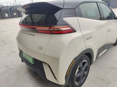 BYD Seagull Glory Edition 305km Freedom Version - ფოტო 7