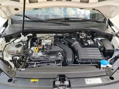 Volkswagen Tiguan L Outstanding Edition 300TSI Automatic FWD Dragon Ascendant Version - photo 19