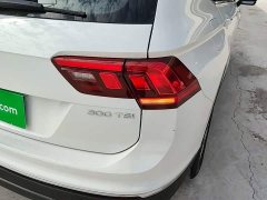 Volkswagen Tiguan L Outstanding Edition 300TSI Automatic FWD Dragon Ascendant Version - photo 7