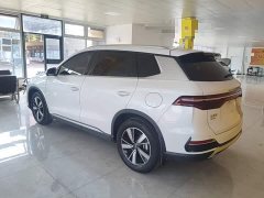BYD Song Pro New Energy DM-i 110km Flagship - ფოტო 4