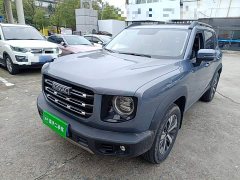 Great Wall Dachshund 1.5T DCT Two-Wheel Drive Labrador Edition - фото 1