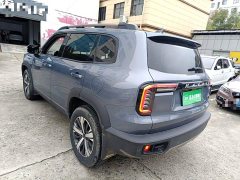 Great Wall Dachshund 1.5T DCT Two-Wheel Drive Labrador Edition - фото 4