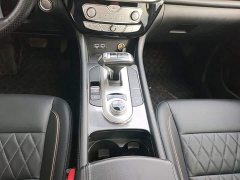 Lincoln Cannon 2.0T Passenger Global Edition Automatic Diesel 2WD Comfort Standard Box GW4D20M - ფოტო 13