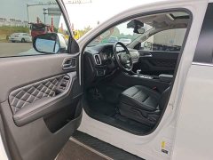 Lincoln Cannon 2.0T Passenger Global Edition Automatic Diesel 2WD Comfort Standard Box GW4D20M - ფოტო 15