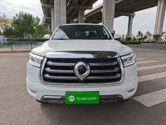 Lincoln Cannon 2.0T Passenger Global Edition Automatic Diesel 2WD Comfort Standard Box GW4D20M - ფოტო 2