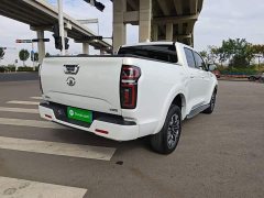 Lincoln Cannon 2.0T Passenger Global Edition Automatic Diesel 2WD Comfort Standard Box GW4D20M - ფოტო 6