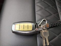 Lincoln Cannon 2.0T Passenger Global Edition Automatic Diesel 2WD Comfort Standard Box GW4D20M - ფოტო 8