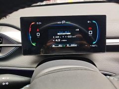 BYD Destroyer 05 Glory Edition DM-i 55KM Luxury - ფოტო 11