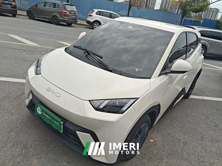 BYD Seagull 305km Vitality Edition - ავტომობილი ჩინეთიდან