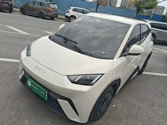 BYD Seagull 305km Vitality Edition - ფოტო 1