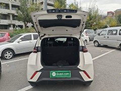 BYD Seagull 305km Vitality Edition - ფოტო 18