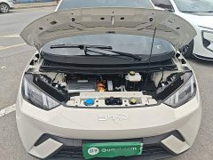 BYD Seagull 305km Vitality Edition - ფოტო 19