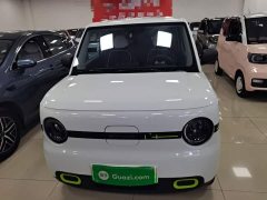 Geely Panda Mini 210km Vitality Edition - ფოტო 2