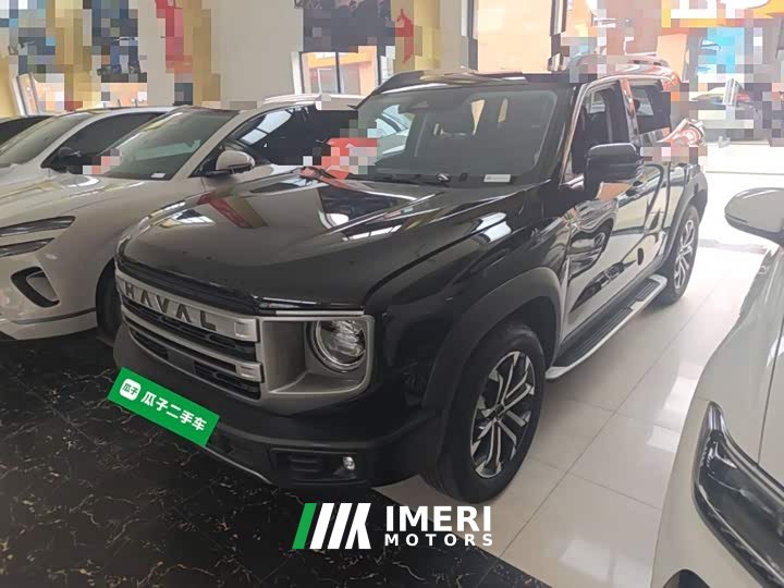 Great Wall Dachshund 1.5T DCT Border Collie Edition - car from China