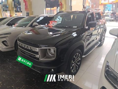 2024 Great Wall Dachshund 1.5T DCT Border Collie Edition - ავტომობილი ჩინეთიდან