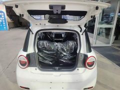 Changan Lumin Treasure Edition 205km Cool Love White CATL - photo 18