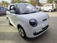 Changan Lumin Treasure Edition 205km Cool Love White CATL - photo 3