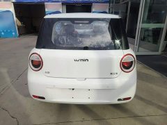 Changan Lumin Treasure Edition 205km Cool Love White CATL - photo 5