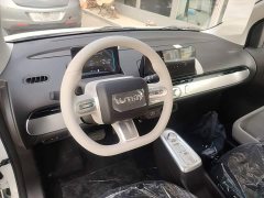 Changan Lumin Treasure Edition 205km Cool Love White CATL - photo 9