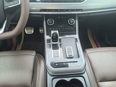 Chery Tiggo 8 Facelift 290TGDI Automatic Luxury Edition - ფოტო 13