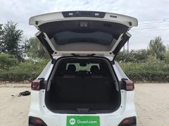 Chery Tiggo 8 Facelift 290TGDI Automatic Luxury Edition - ფოტო 18