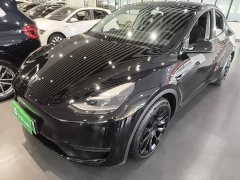 Tesla Model Y Standard Range RWD - ფოტო 1