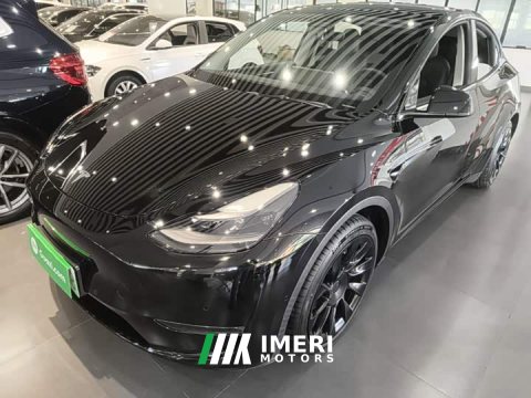 2021 Tesla Model Y Standard Range RWD - ავტომობილი ჩინეთიდან