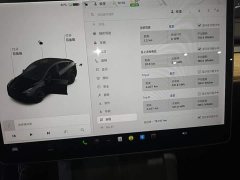 Tesla Model Y Standard Range RWD - ფოტო 11